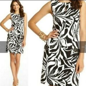 Lilly Pulitzer Forsythia Black and white shift dress 6